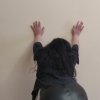 Проститутка Киева Надежда
