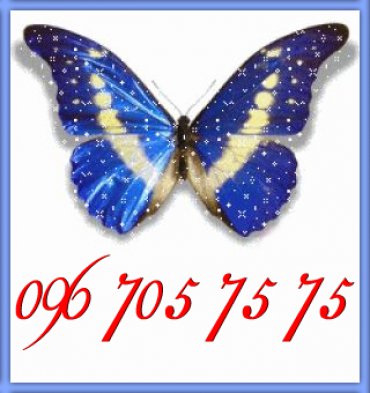 Проститутка Киева Butterfly
